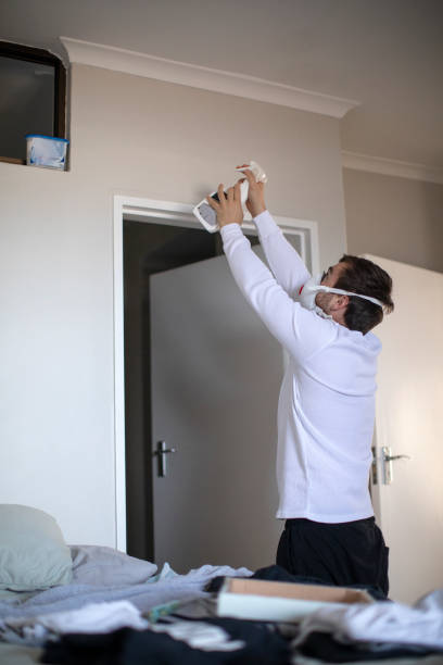 Best Real Estate Mold Inspection  in Heathrow, FL
