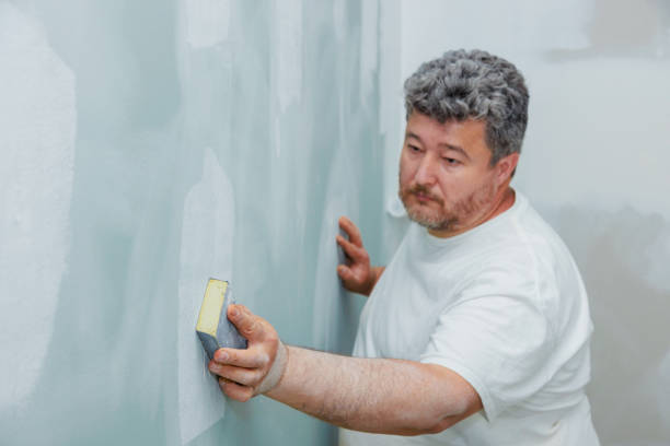 Best Basement Mold Removal  in Heathrow, FL