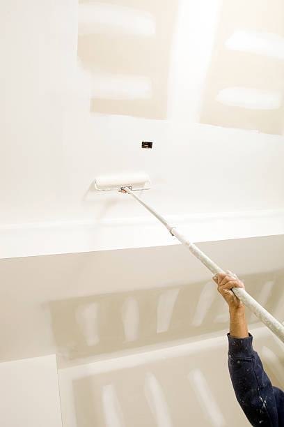 Best Mold Odor Removal Services  in Heathrow, FL