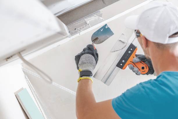 Professional Mold Removal in Heathrow, FL